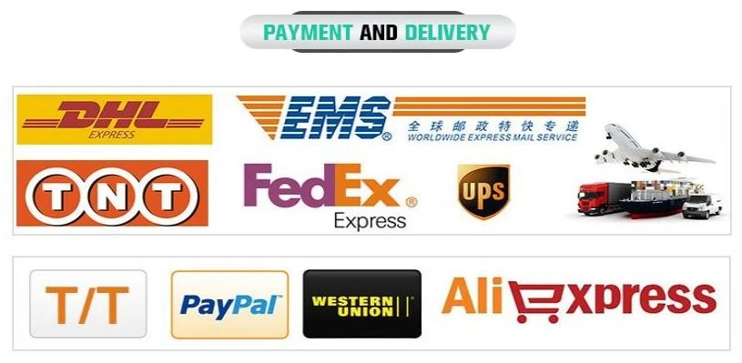 payment and delivery payment and delivery